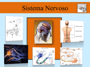 Diapositivo 1 - ABciências.Webnode.pt