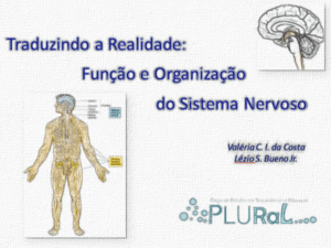 Apresenta&ccedil;&atilde;o do PowerPoint