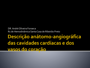 Descrição anátomo-angiográfica das cavidades cardíacas e