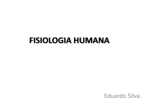 FISIOLOGIA HUMANA