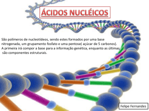 estrutura dos ácidos nucléicos,replicação e pcr