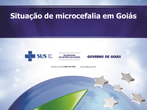 Epilepsia Manejo Inadequado Situação de microcefalia em Goiás