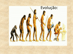 Teoria Evolutiva - Rainha do Brasil