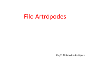 Filo Artrópodes - Prof. Aleksandro Rodrigues