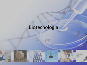 Biotecnologia -clonagem