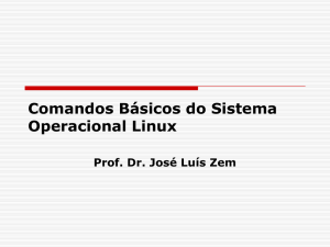 Comandos Básicos do Sistema Operacional Linux.