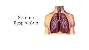 Sistema Respiratório - WEJ