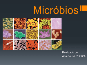 Micróbios - sextoA2011-2012
