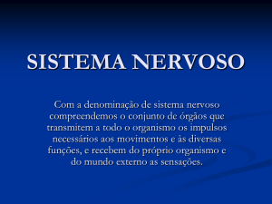 stema_nervoso_central_periferico_Visao_GERAL