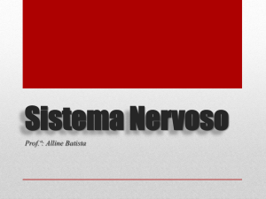 aula_13_-_sistema_nervoso - Unioeste