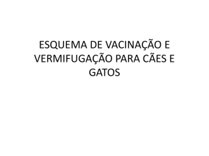 esquema de vacinação e vermifugação para cães e gatos