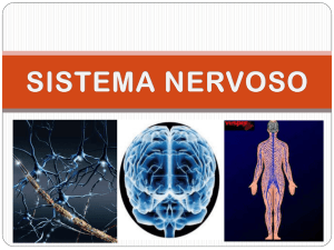 Slide 1 - biologiavirtual