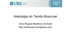 6 Histologia do Tecido Muscular_VRMA