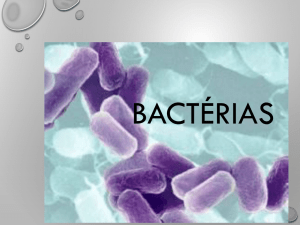 Bactérias e Vírus Aula 3 e 4