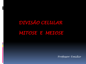 Divisão celular Mitose e Meiose