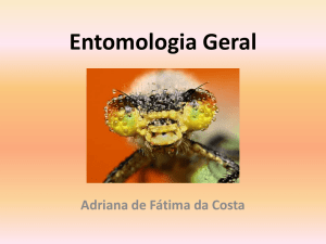 Entomologia Geral