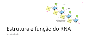 2015 ESTRUTURA e FUNÇAO RNA VRMA