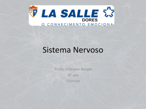 Sistema Nervoso