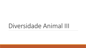 slides Diversidade Animal III