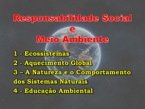 Responsabilidade Social e Meio Ambiente