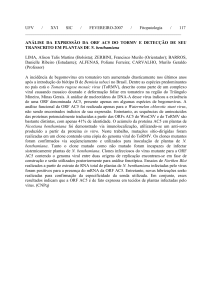 UFV / XVI SIC / FEVEREIRO-2007 / Fitopatologia / 117