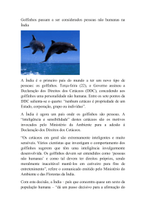 Golfinhos passam a ser considerados pessoas não humanas na