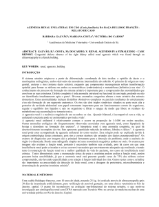 agenesia renal unilateral - 8 - 6