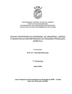 novas fronteiras do biodiesel na amazônia: limites e