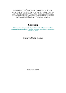 Relatório_Cultura_Editado