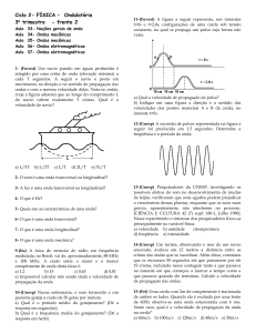 Ciclo 2- Termologia