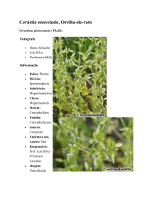 Exportar - Galeria Azores BioPortal