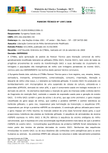 parecer técnico nº /2007 - Ministério do Meio Ambiente