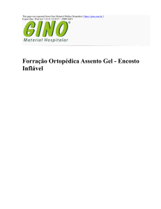 Forração Ortopédica Assento Gel - Encosto Inflável : Gino Material
