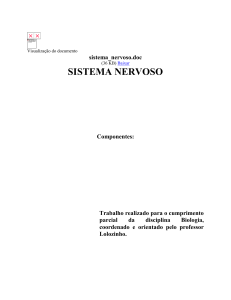 sistema_nervoso