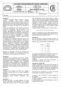 PR – trabalho – 1º colegial