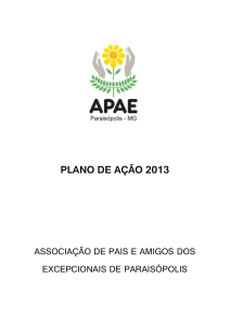 Plano de Ação 2013 - Apae de Paraisópolis