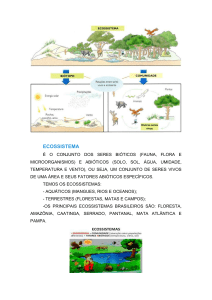 10. ecossistema com prova - atividadeparaeducacaoespecial.com
