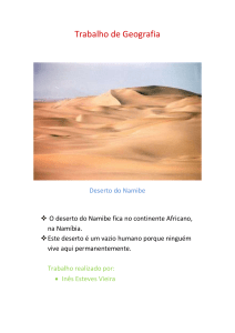 Trabalho de Geografia Deserto do Namibe O deserto do Namibe