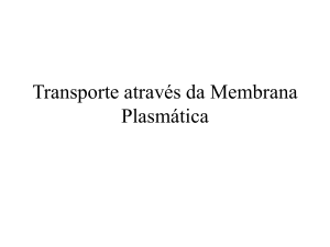 membrana transporte