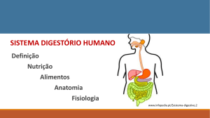 Fisiologia da Digestão