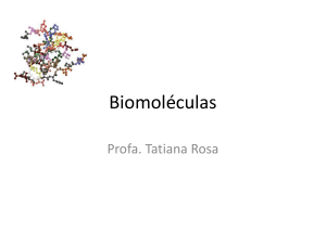 Biomoléculas - tatianarosa