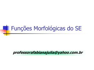 funcoes-morfologicas-do-se