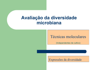 Diversidade microbiana