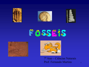 Fósseis – noções básicas