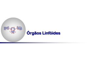 201701_aula-3-orgaos-linfoides