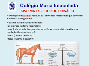 urina - Colégio Maria Imaculada