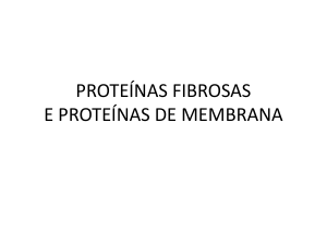 proteínas fibrosas