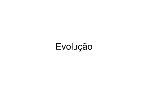 Evolução - Terceiro Churras