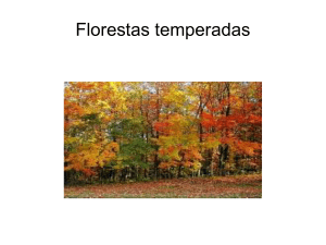 Florestas temperadas A taiga As pradarias As savanas As florestas