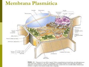 Membranas Celulares